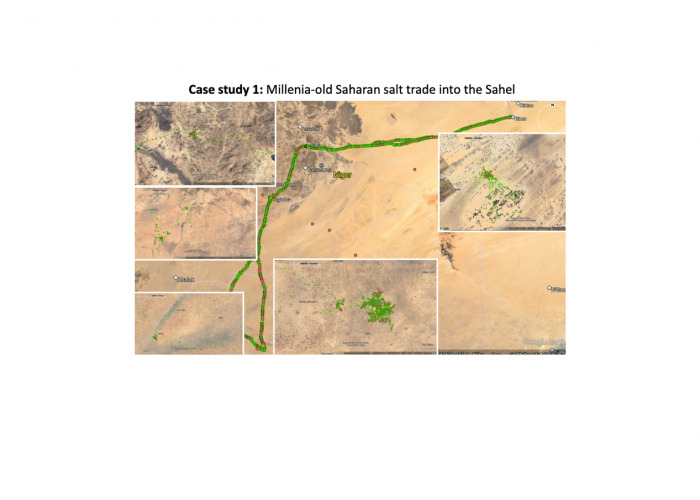 gps-collars.com salt roads in Sahara